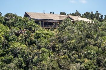 Kariega Game Reserve Settlers Drift Alexandria  Bagian luar foto