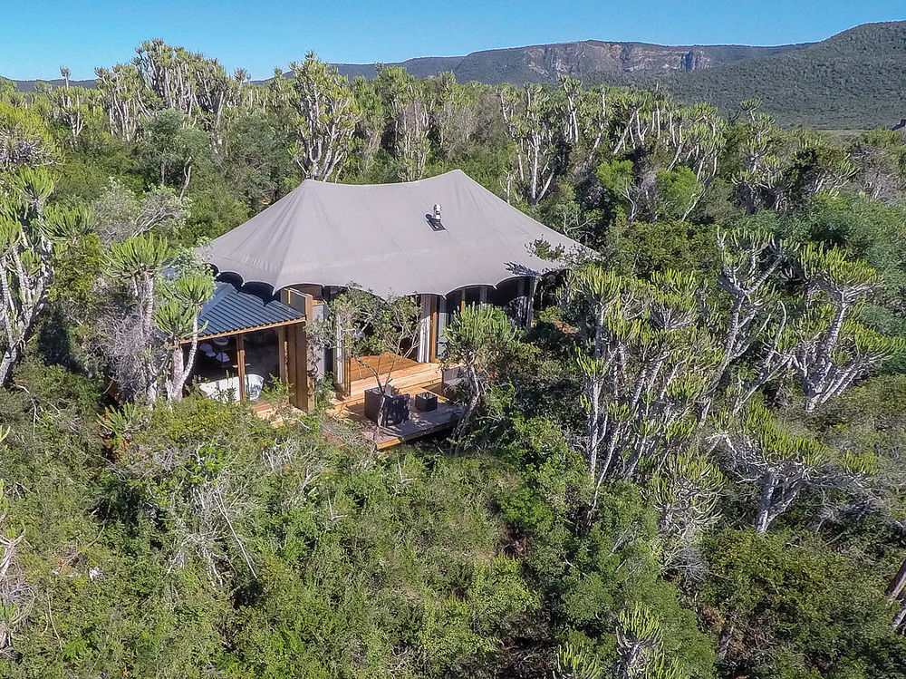 Kariega Game Reserve Settlers Drift Alexandria  Bagian luar foto