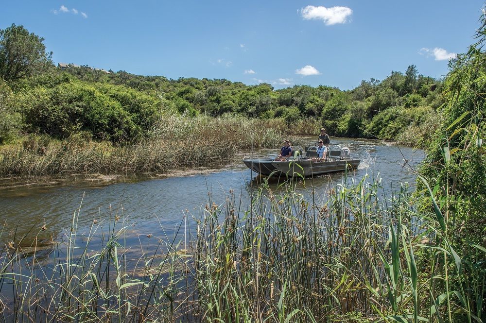Kariega Game Reserve Settlers Drift Alexandria  Bagian luar foto