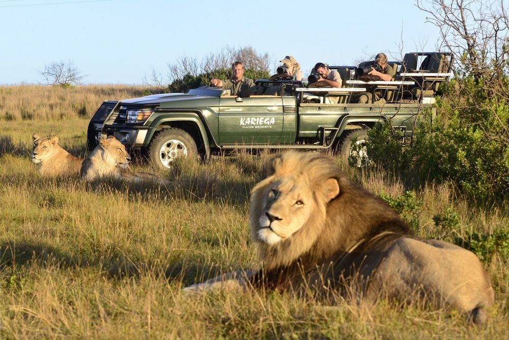 Kariega Game Reserve Settlers Drift Alexandria  Bagian luar foto
