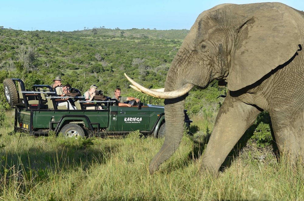 Kariega Game Reserve Settlers Drift Alexandria  Bagian luar foto