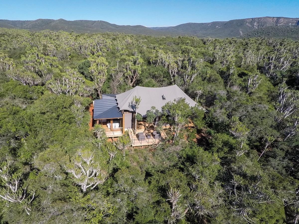 Kariega Game Reserve Settlers Drift Alexandria  Bagian luar foto