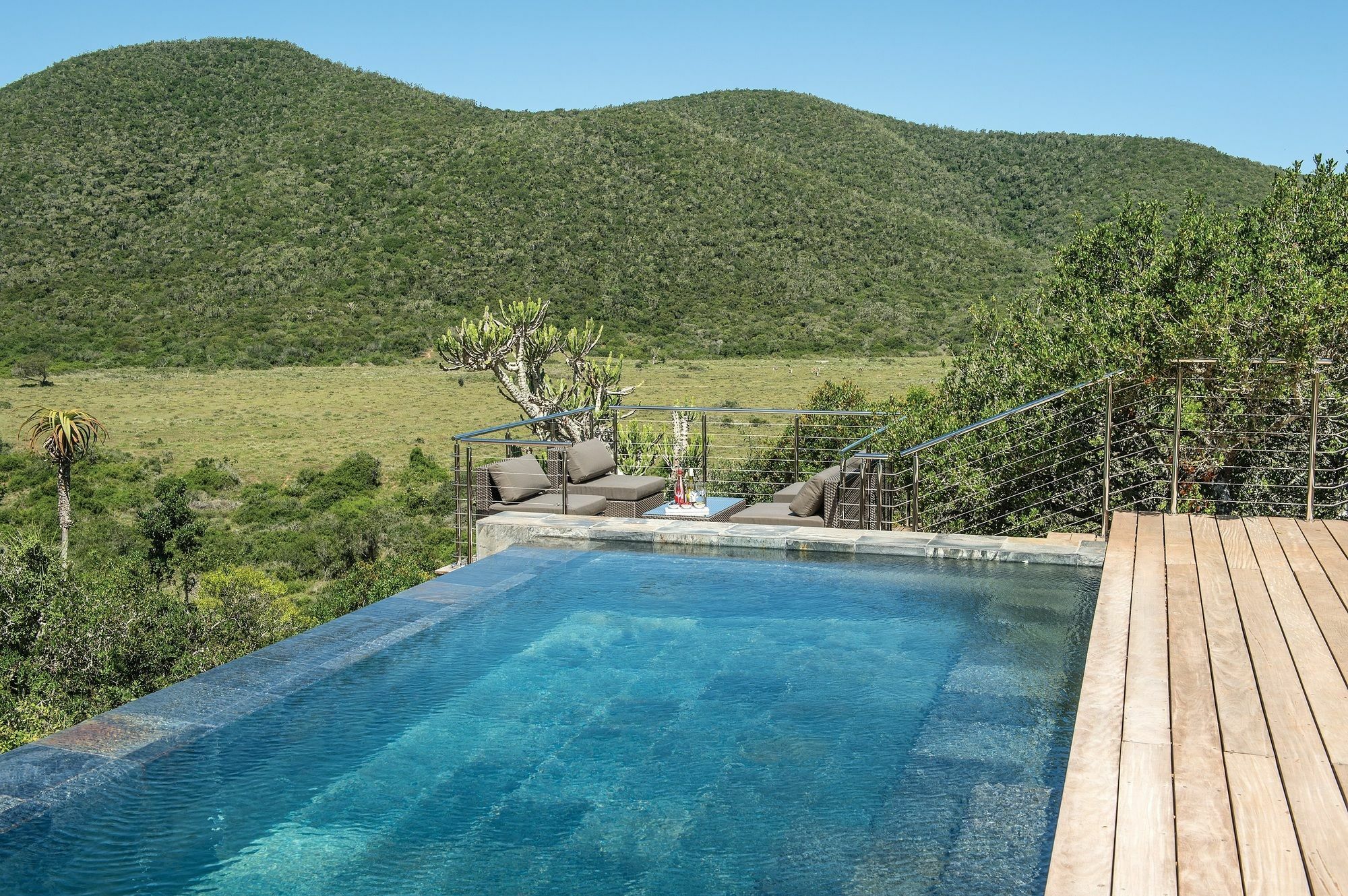 Kariega Game Reserve Settlers Drift Alexandria  Bagian luar foto